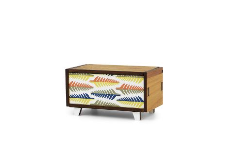 Pop Box Fern