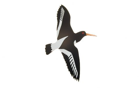 New Zealand Airways Oyster Catcher Single