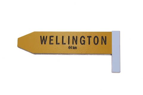 Give Me A Sign Magnet Wellington